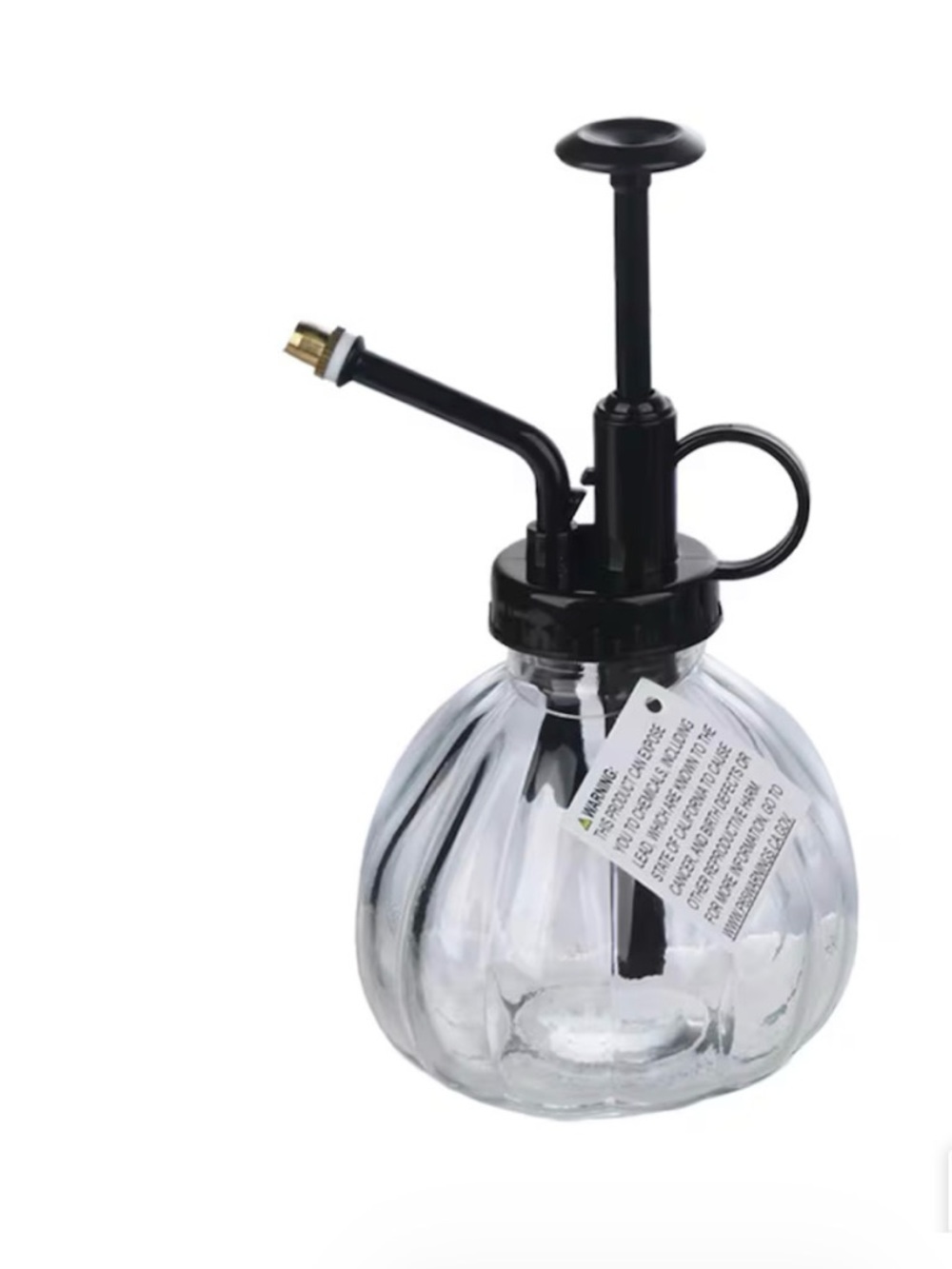 Glass Plant Mister with Black Pump Sprayer - Clear